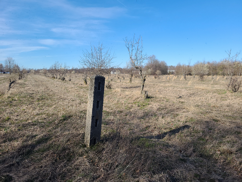 50.38ac_BethlehemRd_Caroline_Pic016