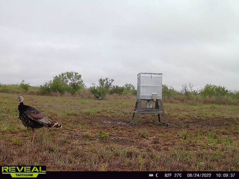 S865814042113447-100-4-08242022100936-W1005049