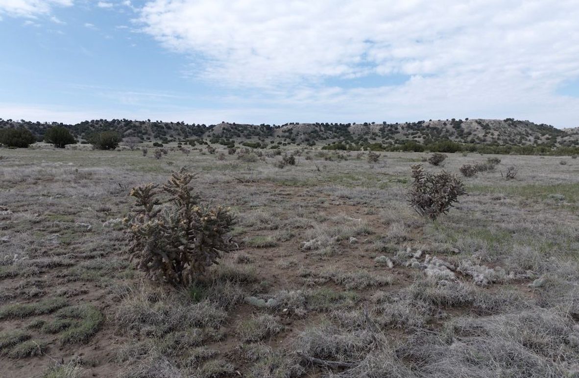 Las Animas CO 40 Carey 6