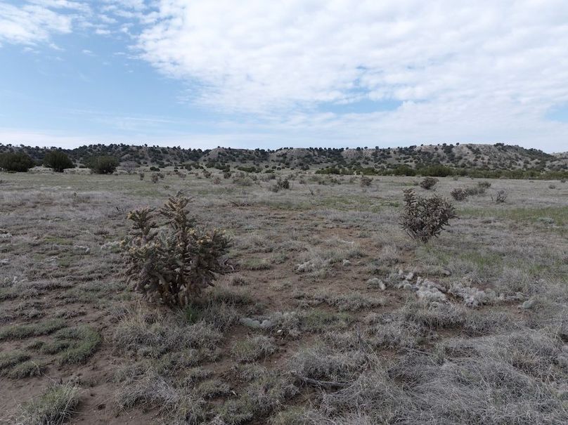 Las Animas CO 40 Carey 6