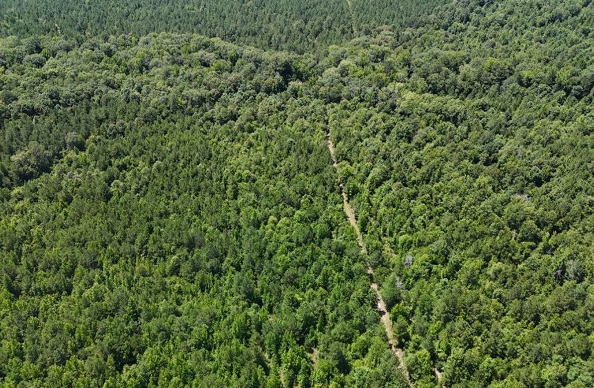 DJI_20250624035627_0648_D