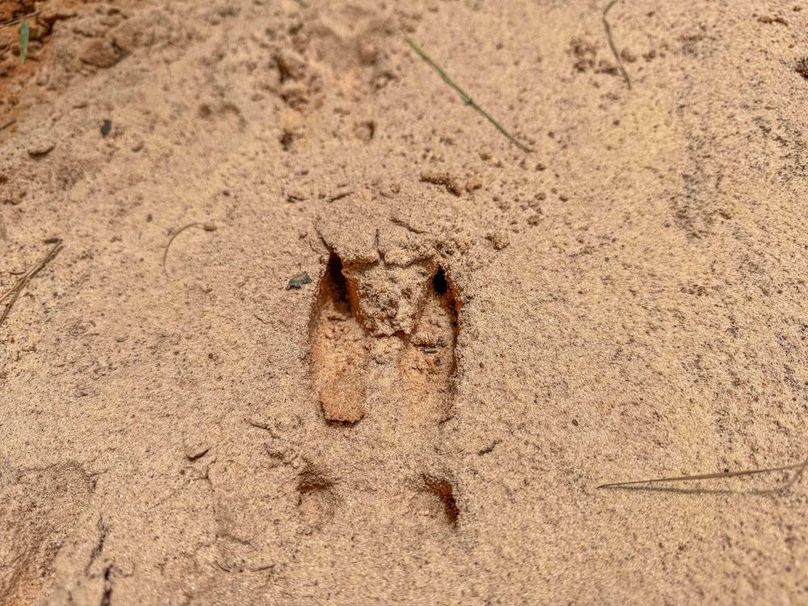 Copy of untitled-5-4