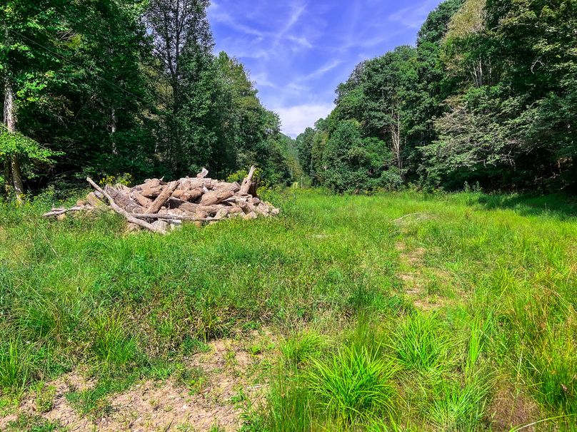 Calhoun, WV 101.8 AC Holly -05