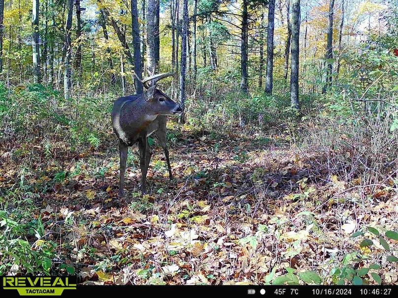 865814048154676-80-2-10162024104626-HD-W1000459