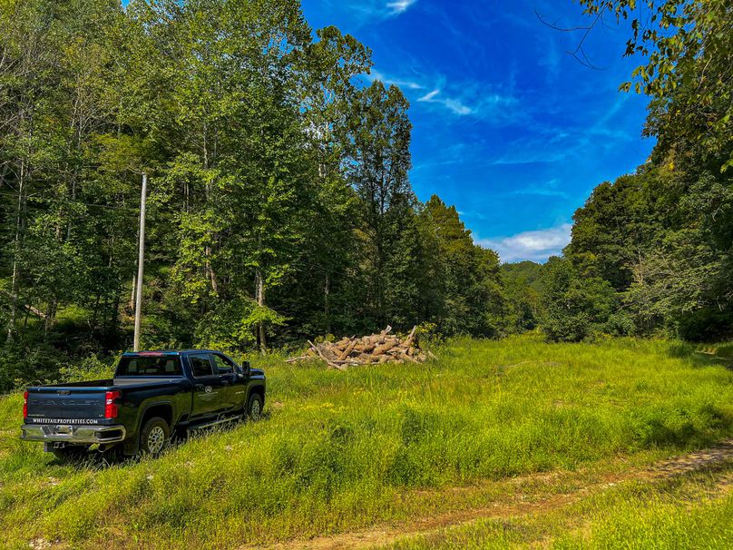 Calhoun, WV 101.8 AC Holly -01