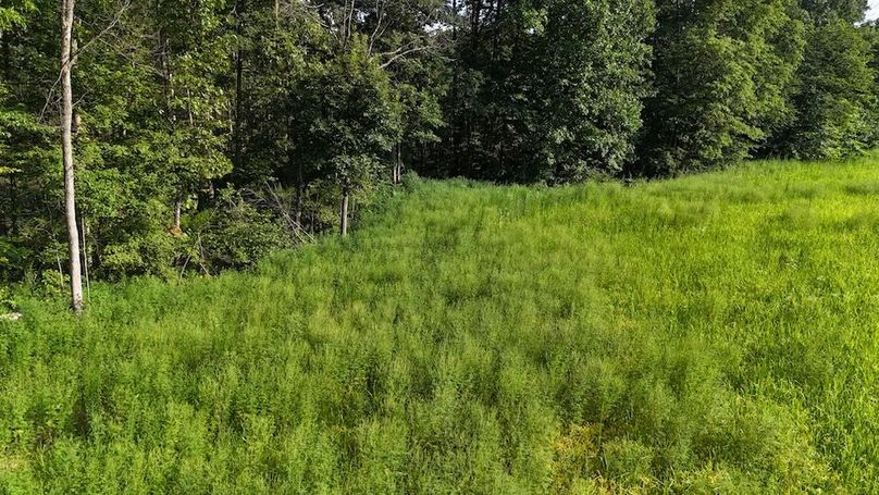 DJI_20250808180458_0781_D