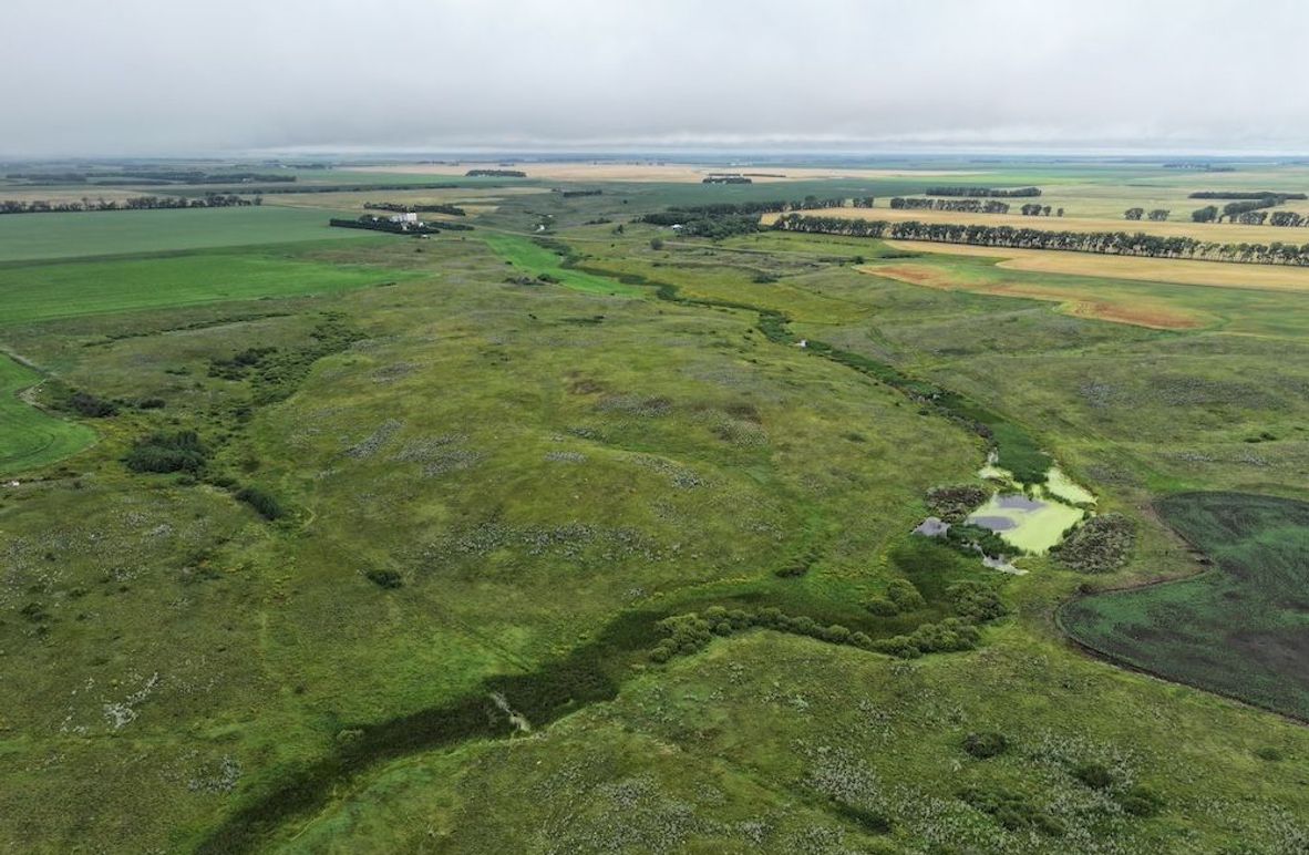 DJI_20250704133252_0605_D