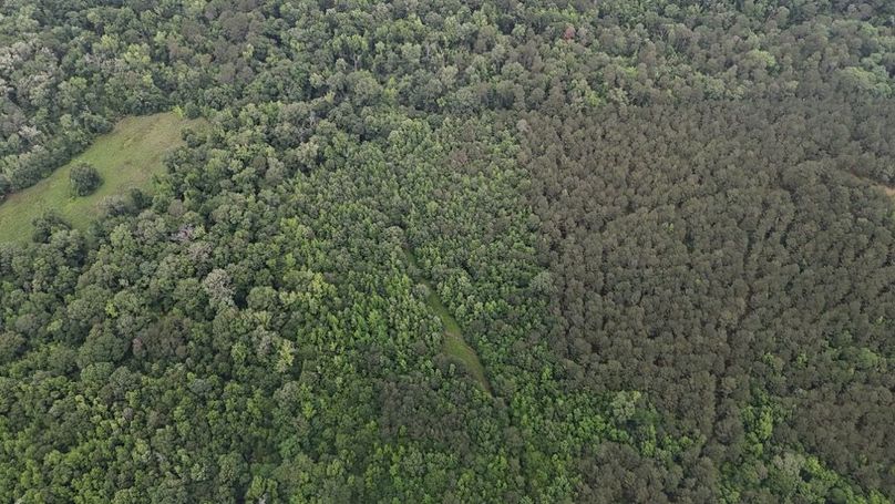 DJI_20260528015337_0021_D