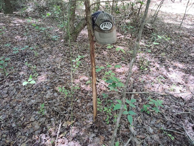 IMG_20250524_122123395