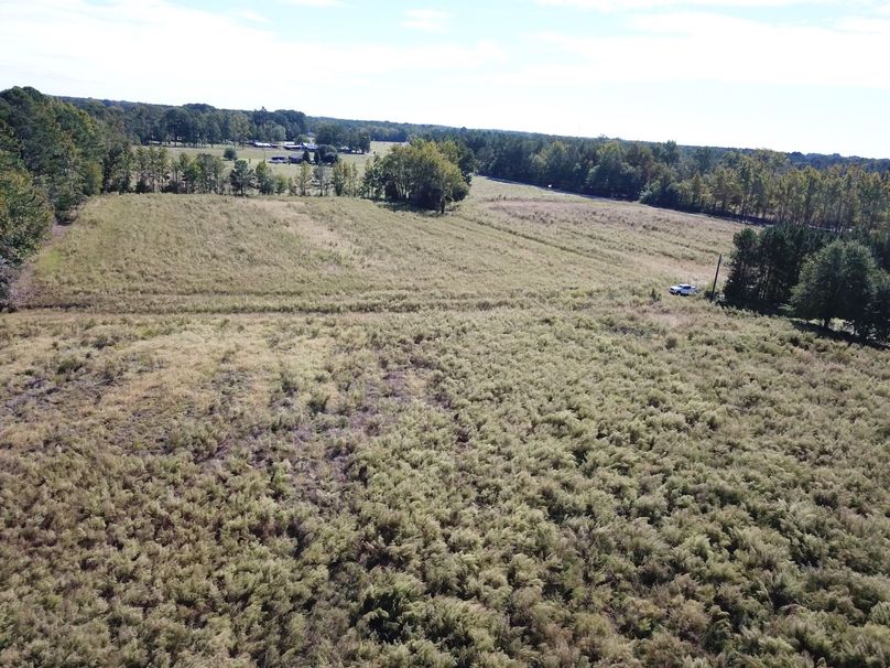 Copy of DJI_0010