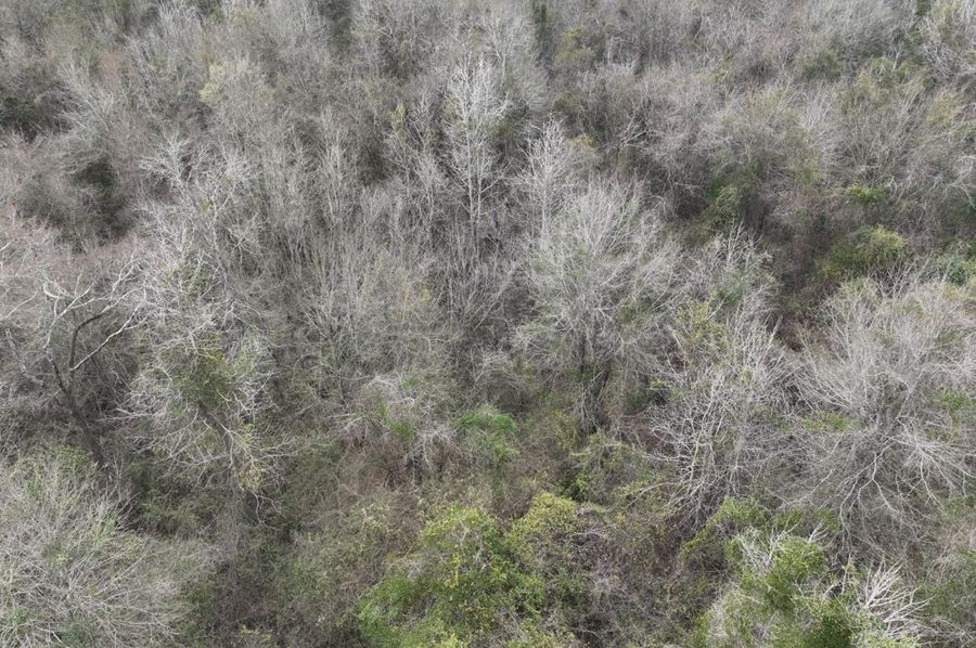 DJI_0003