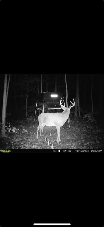 Screenshot 2026-01-09 at 12.41.48 PM