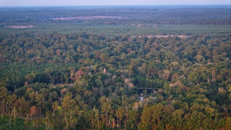 DJI_20250918071600_0051_D