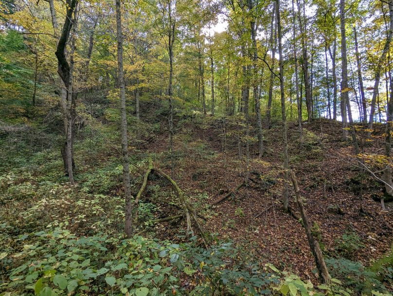 PXL_20231004_193357766