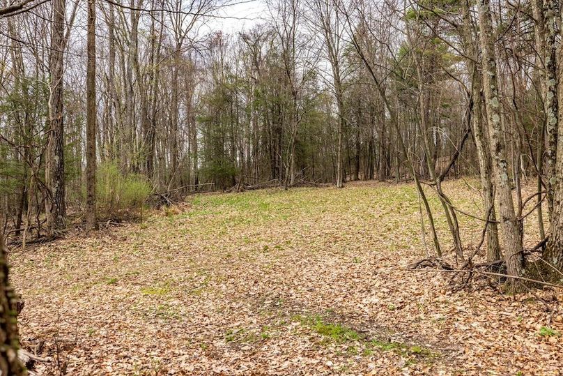 11-web-or-mls-IMG-11