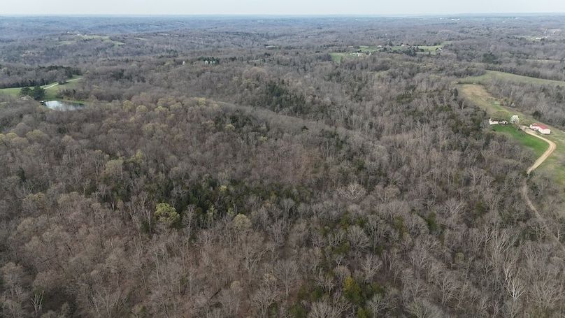 DJI_20250329093923_0271_D