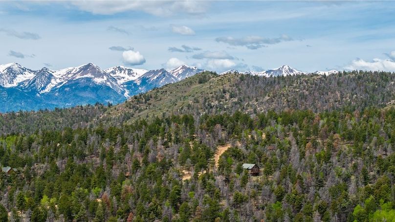 DJI_20240604131726_0006_D-HDR