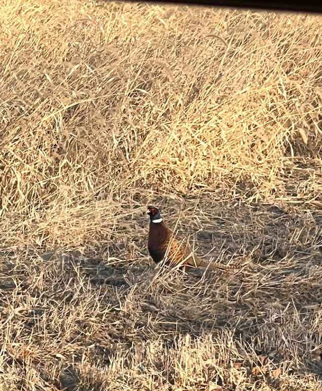 Screenshot 2024-09-04 at 2.32.13 PM