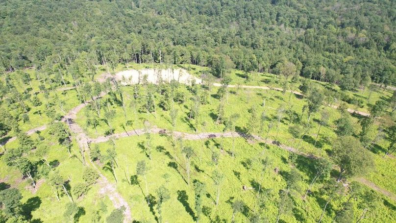 dji_fly_20250624_104454_370_1750776479537_photo
