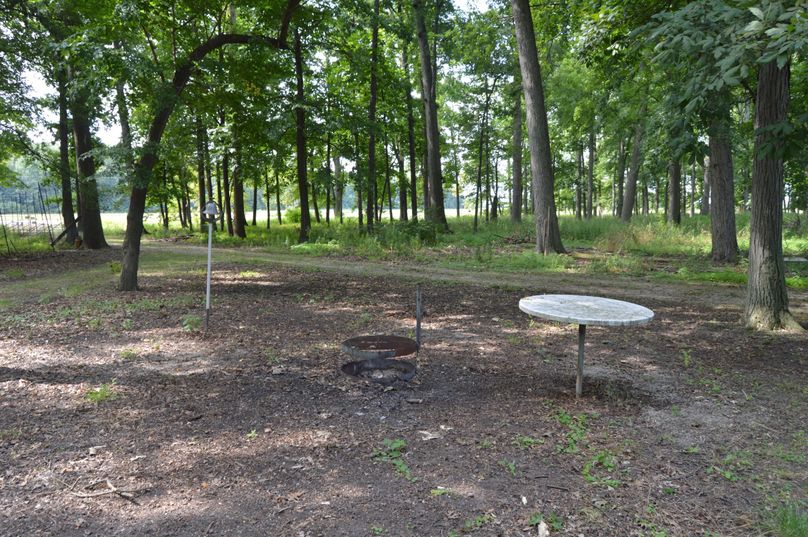 Firepit area