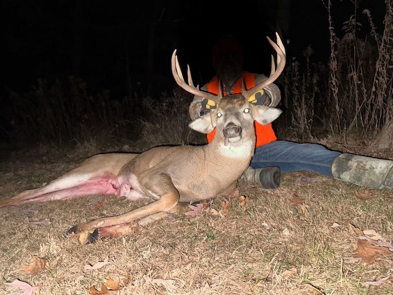 54.03 Houston Deer-14