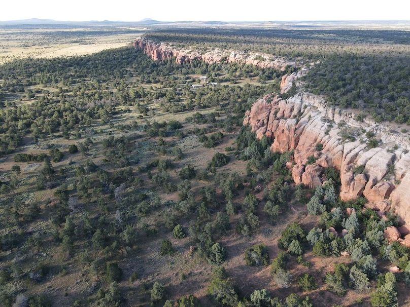 dji_fly_20240816_073954_495_1723815851290_photo