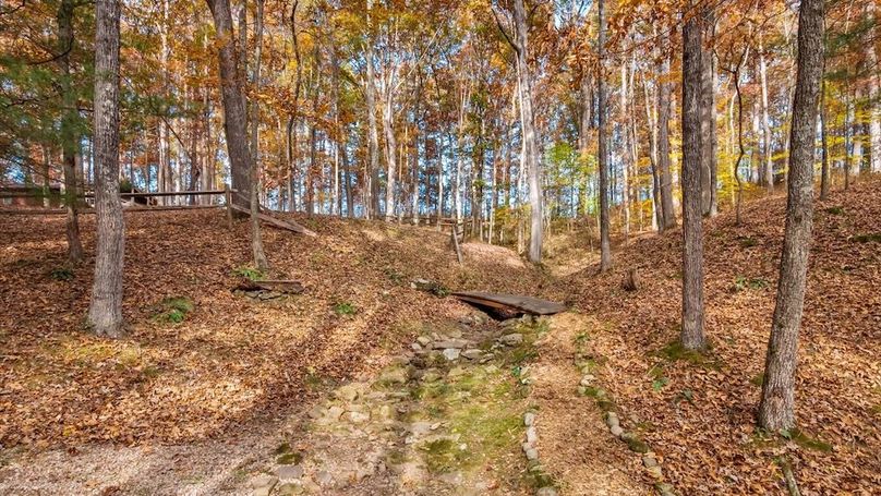 61-z 46585 Morning Star109-2