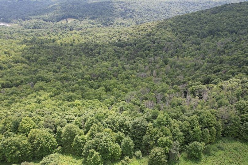 Chemung_78.26+Gutchess_Lumber_Photos_6