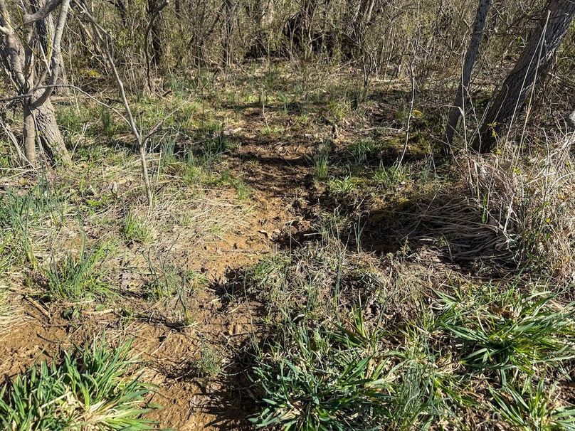 Fleming Petry 115-23