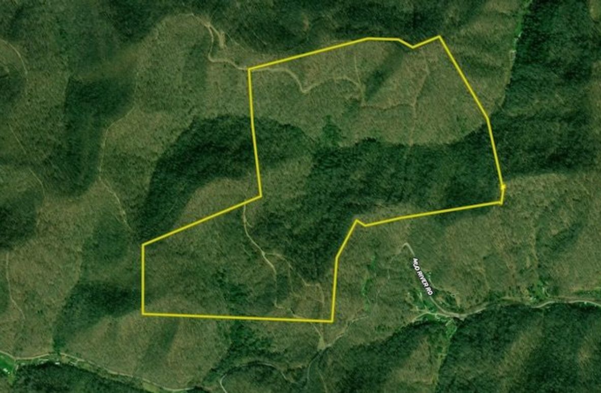 Screenshot 2025-10-03 at 4.54.15 PM