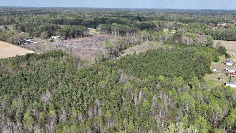 dji_fly_20260330_085818_0547_1774989418325_photo