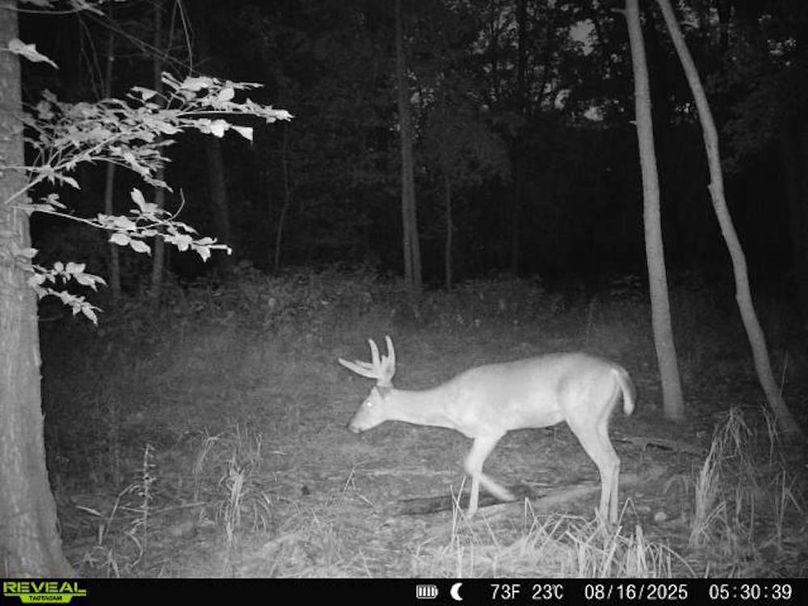 860516068101389-90-3-08162025053038-V-W1000571