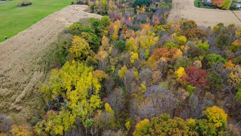 Hauger 15 Still Shots-09