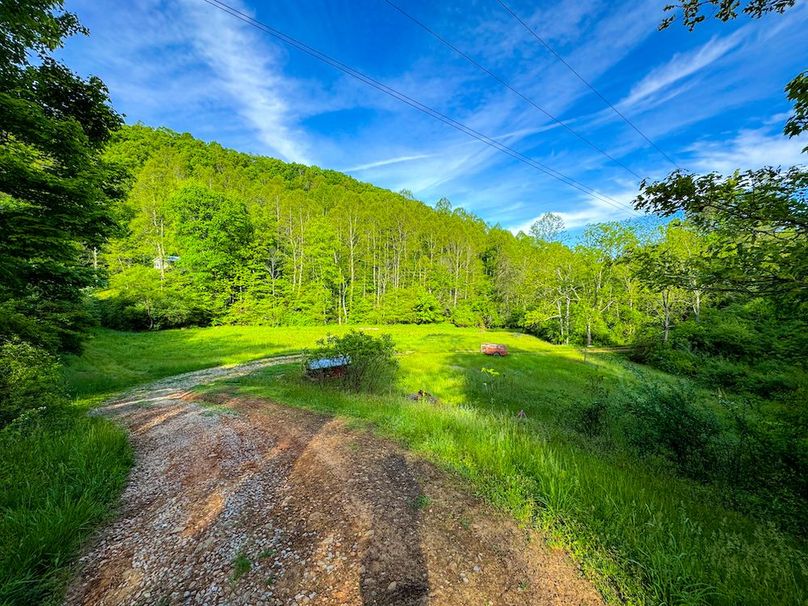 Wirt, WV 145.69 AC 273 Wildflower-57