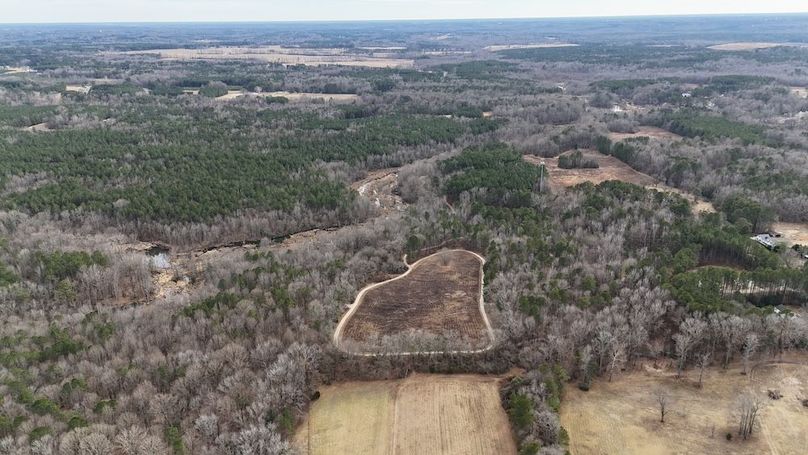 dji_fly_20260212_143442_0300_1770925838234_photo