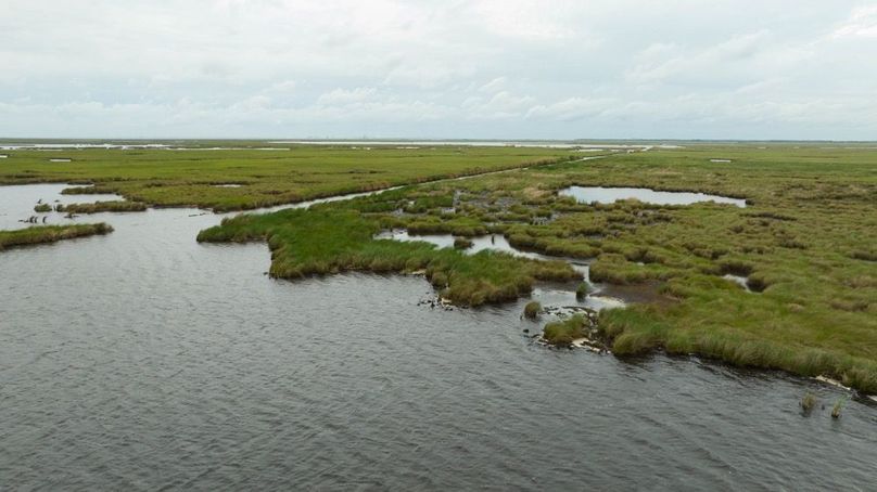 Cameron Parish LA 3,556 Pro Photo-117