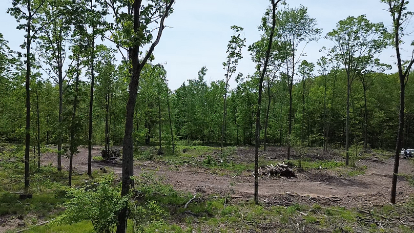 2024-05-24-12-59-25-165