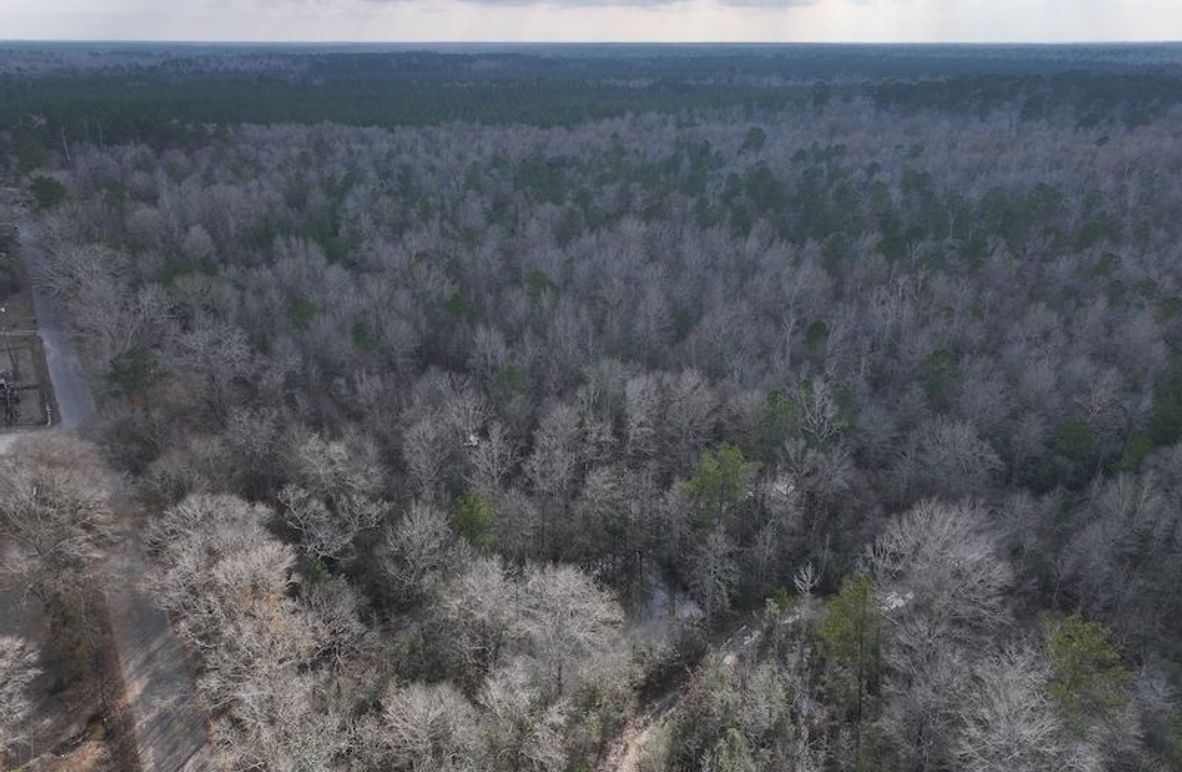 dji_fly_20260212_135534_0030_1771284253661_photo