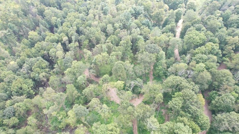 dji_fly_20250806_151850_608_1754528922165_photo