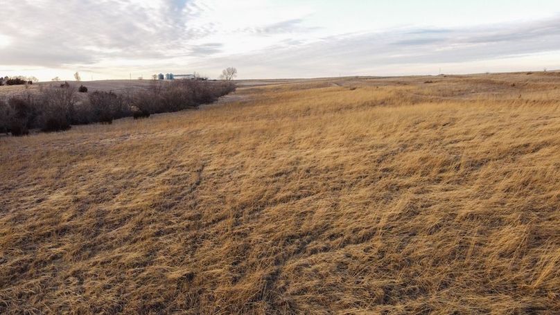 MONTGOMERY CO IA 156.78_18