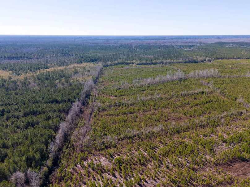 Pender NC 382 - Edits-11