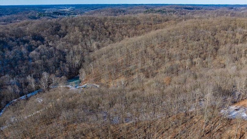 100-z 17250 Campbell152