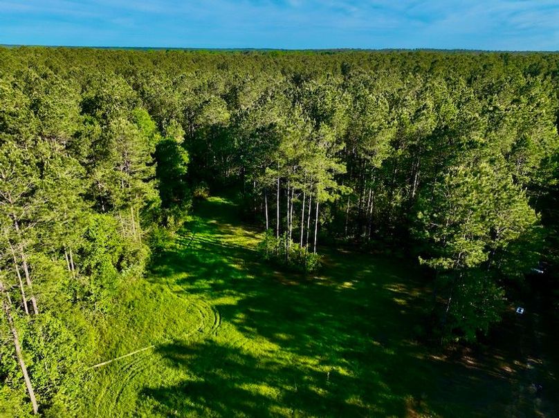 8EE95855-7D6D-44D6-9613-D83F7A9E2E30_1_201_a