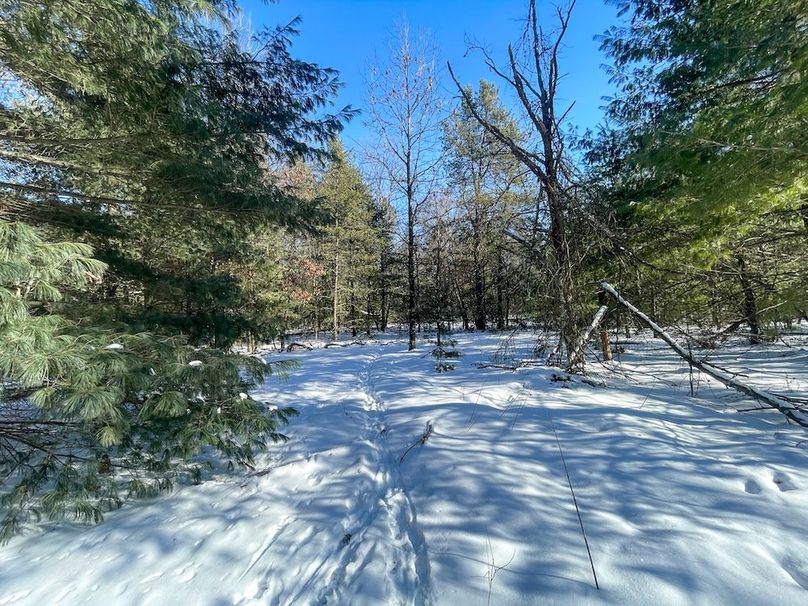 Adams 25, Nessler -35