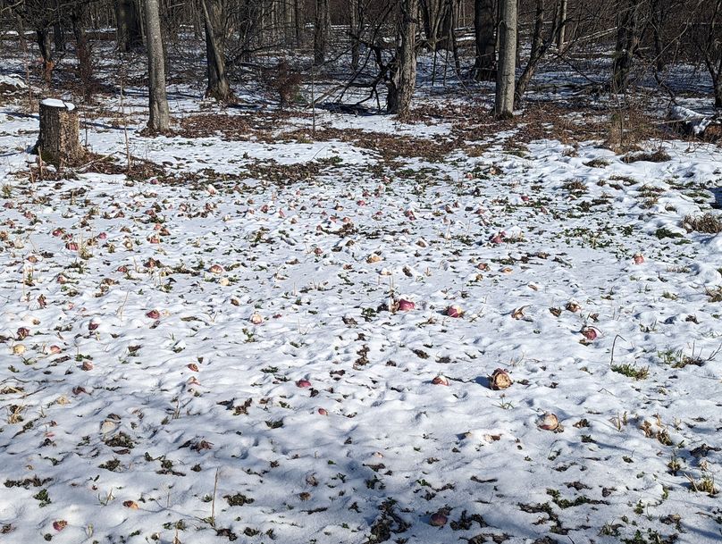 PXL_20230202_163410709