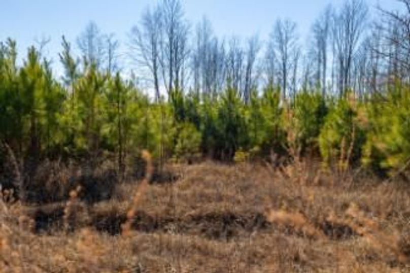 MCKINNON TRACT 15-02