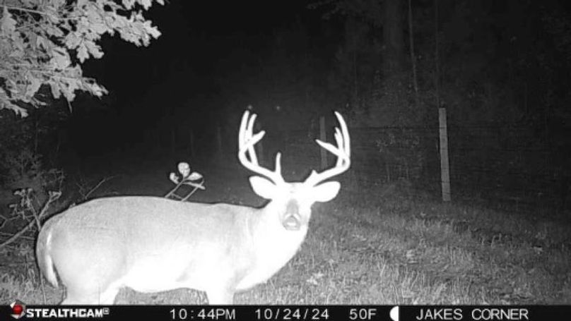 24102511264100000397