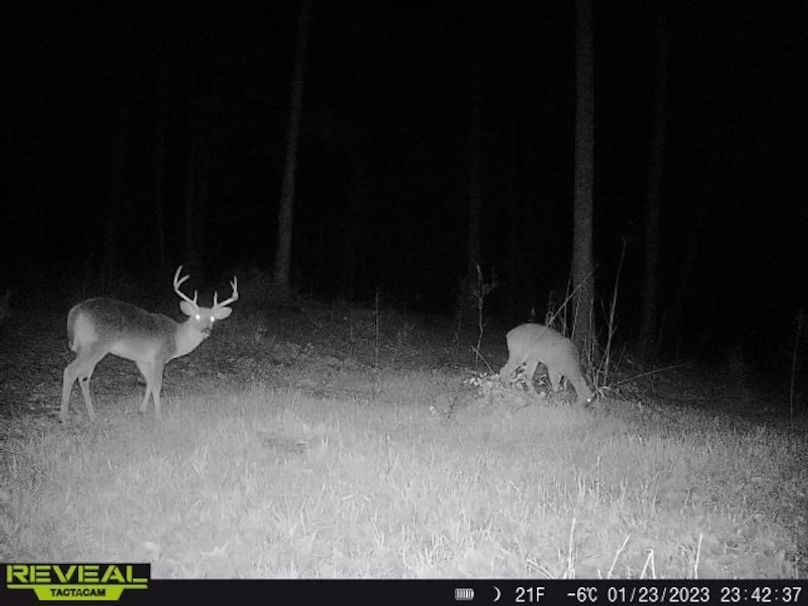 861412047893289-100-4-01232023234238-W1005261