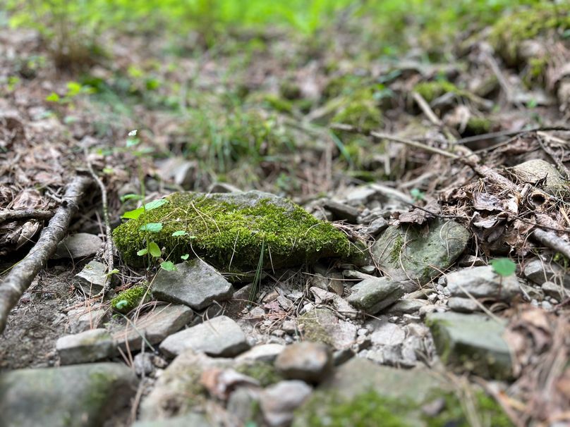 Tioga_18.72_Coulson Photo 19