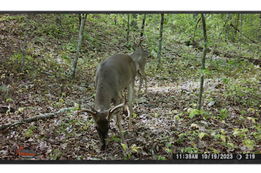 IMG_20250222_121031